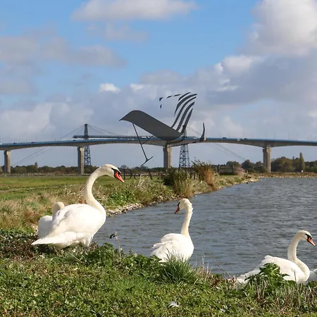 Appartement L'albatros - Situé En Plein Coeur De