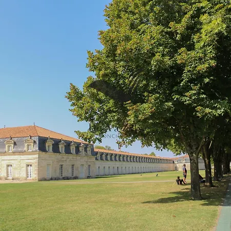 L'albatros - Situé En Plein Coeur De