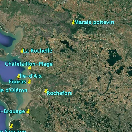 L'albatros - Situé En Plein Coeur De